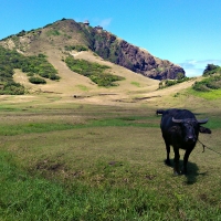 Uncharted Philippines | Palaui Island Nature Tour