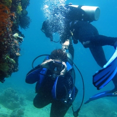 Underwater tour