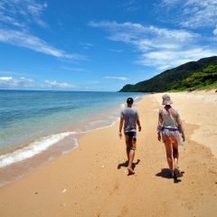 Beach perfection