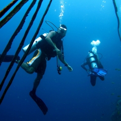 Plongeurs à Moalboal